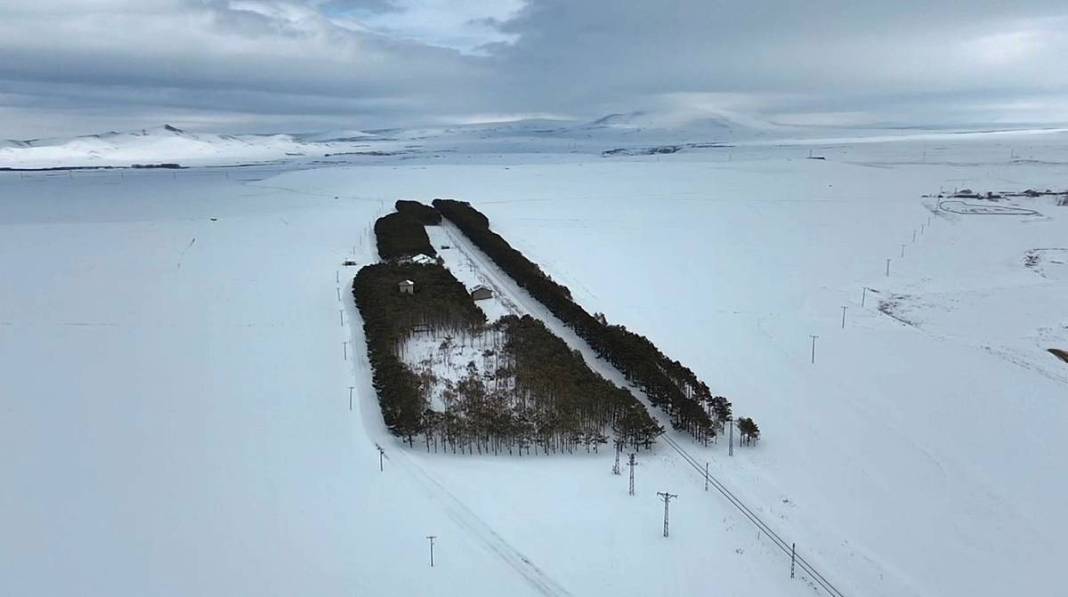 Karlar kraliçesinin saklı bahçesi gibi! Bozkırda yükselen yeşil cennet 8